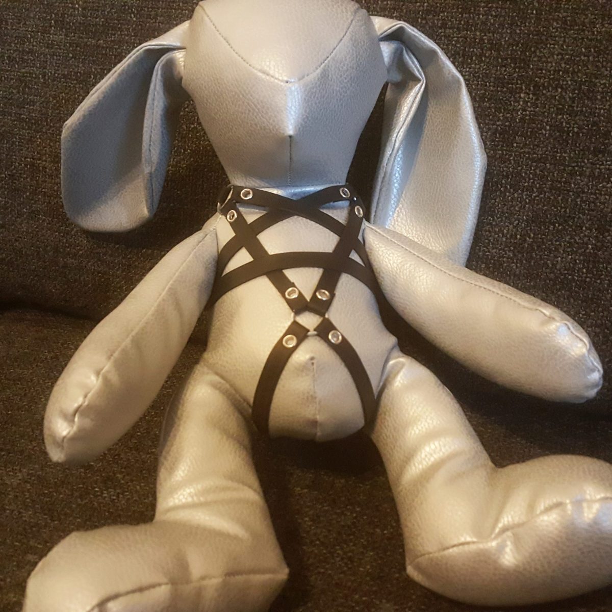 harness rope bunny