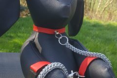 chain rope bunny
